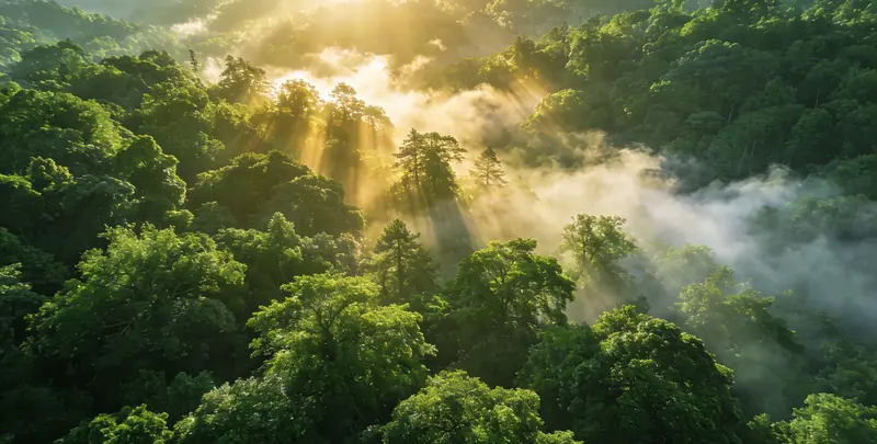 绵阳肺癌11基因检测组织版图片1